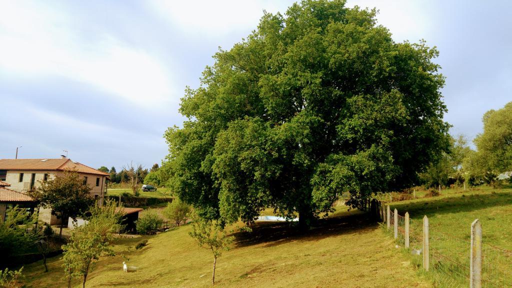 Caserio De Fontes Nogueira De Ramuin エクステリア 写真